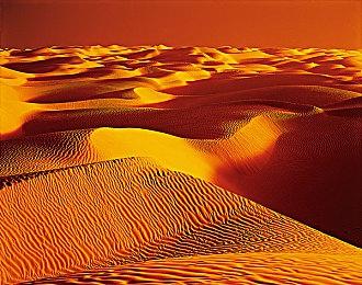 行业资深媒体锐评《宝可梦GO》被出售 今后发展动向预测