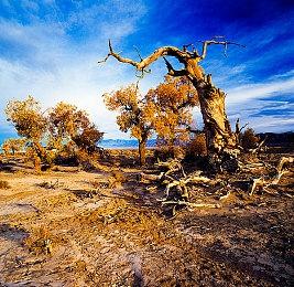 前暴雪CEO成立新工作室魔法汤 打造3A原创游戏